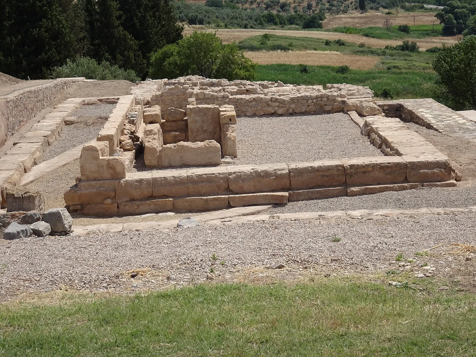 Kalapodi